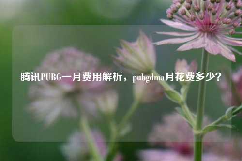 腾讯PUBG一月费用解析，pubgdma月花费多少？