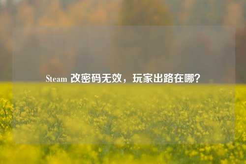 Steam 改密码无效，玩家出路在哪？