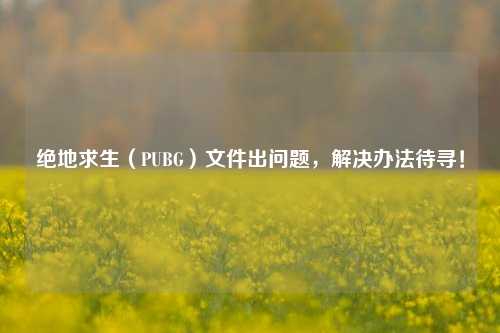 绝地求生（PUBG）文件出问题，解决办法待寻！