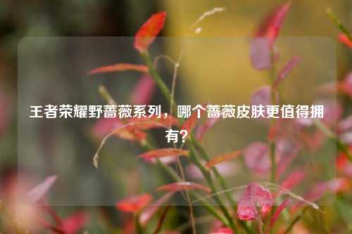王者荣耀野蔷薇系列，哪个蔷薇皮肤更值得拥有？