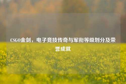 CSGO金剑，电子竞技传奇与军衔等级划分及荣誉成就