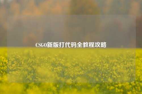CSGO新版打代码全教程攻略