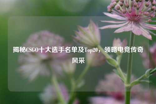 揭秘CSGO十大选手名单及Top20，领略电竞传奇风采