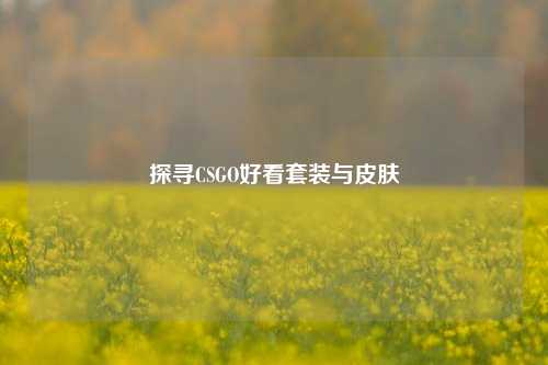 探寻CSGO好看套装与皮肤