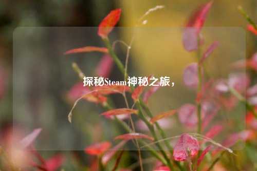 探秘Steam神秘之旅，