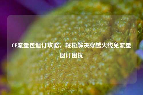 CF流量包退订攻略，轻松解决穿越火线免流量退订困扰