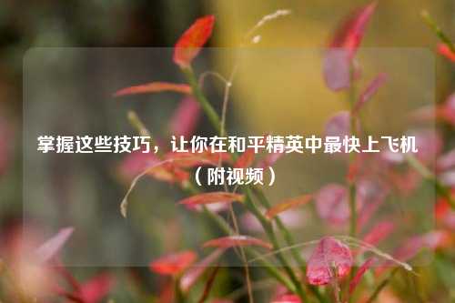 掌握这些技巧，让你在和平精英中最快上飞机（附视频）
