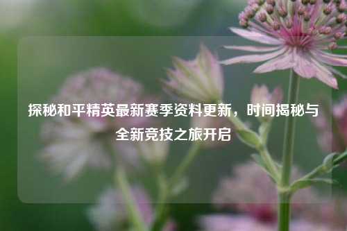 探秘和平精英最新赛季资料更新，时间揭秘与全新竞技之旅开启