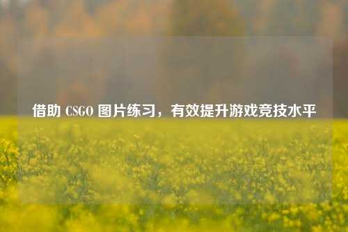 借助 CSGO 图片练习，有效提升游戏竞技水平