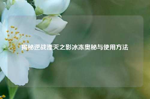 揭秘逆战湮灭之影冰冻奥秘与使用方法