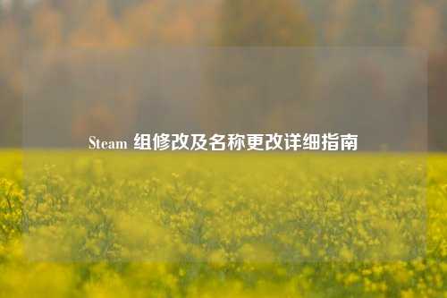 Steam 组修改及名称更改详细指南