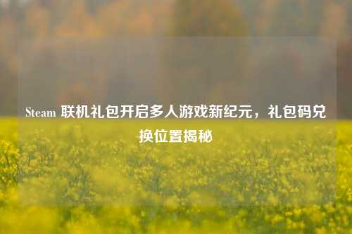 Steam 联机礼包开启多人游戏新纪元,礼包码兑换位置揭秘