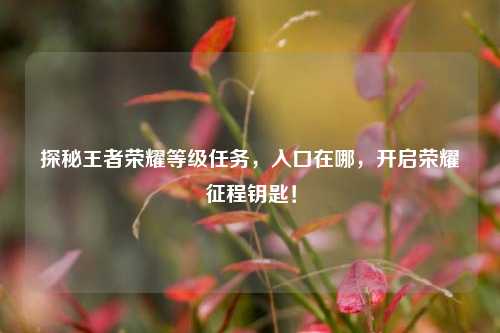 探秘王者荣耀等级任务，入口在哪，开启荣耀征程钥匙！