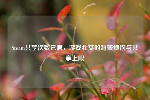 Steam共享次数已满，游戏社交的甜蜜烦恼与共享上限
