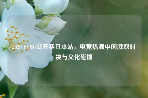 2020 PUBG公开赛日本站，电竞热潮中的激烈对决与文化碰撞