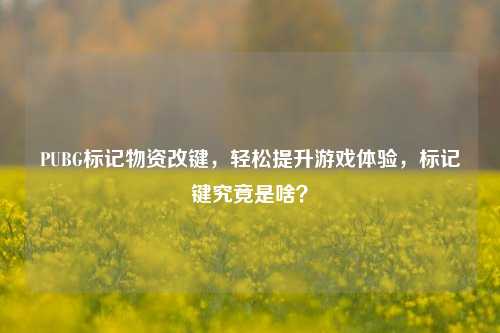 PUBG标记物资改键，轻松提升游戏体验，标记键究竟是啥？