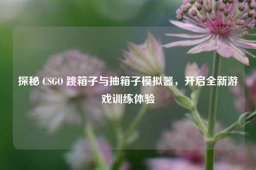探秘 CSGO 跳箱子与抽箱子模拟器，开启全新游戏训练体验