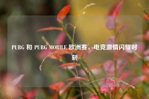 PUBG 和 PUBG MOBILE 欧洲赛，电竞激情闪耀时刻