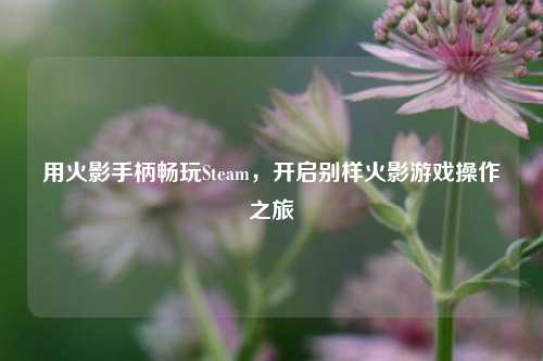 用火影手柄畅玩Steam，开启别样火影游戏操作之旅
