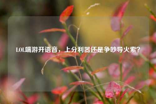 LOL端游开语音，上分利器还是争吵导火索？