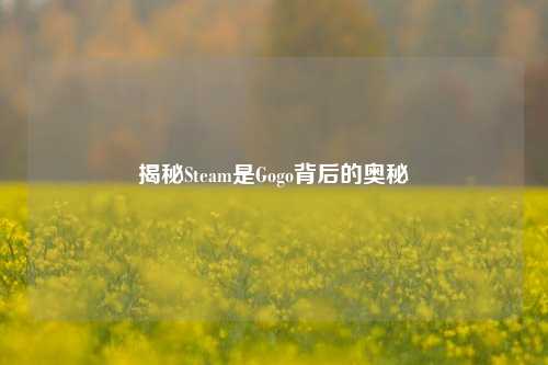 揭秘Steam是Gogo背后的奥秘