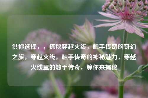 供你选择，，探秘穿越火线，触手传奇的奇幻之旅，穿越火线，触手传奇的神秘魅力，穿越火线里的触手传奇，等你来揭秘