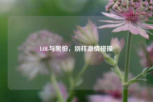 LOL与黑怕，别样激情碰撞