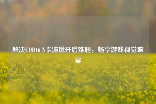 解决COD16 N卡滤镜开启难题，畅享游戏视觉盛宴