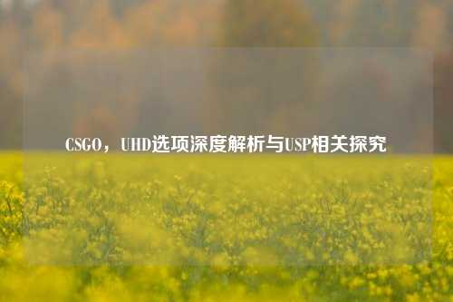 CSGO，UHD选项深度解析与USP相关探究