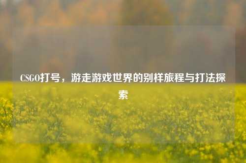 CSGO打号，游走游戏世界的别样旅程与打法探索