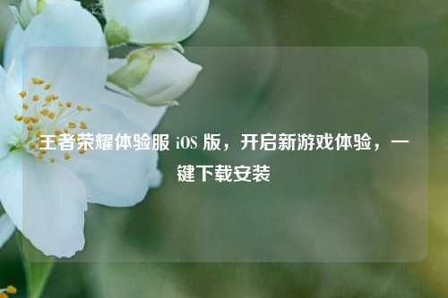 王者荣耀体验服 iOS 版,开启新游戏体验,一键下载安装