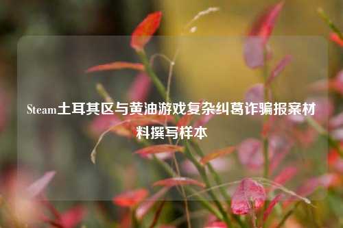 Steam土耳其区与黄油游戏复杂纠葛诈骗报案材料撰写样本