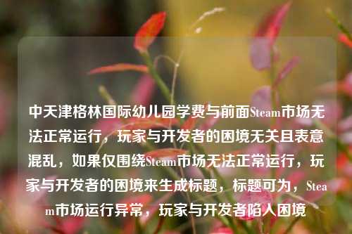 中天津格林国际幼儿园学费与前面Steam市场无法正常运行，玩家与开发者的困境无关且表意混乱，如果仅围绕Steam市场无法正常运行，玩家与开发者的困境来生成标题，标题可为，Steam市场运行异常，玩家与开发者陷入困境