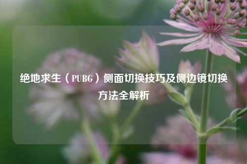 绝地求生（PUBG）侧面切换技巧及侧边镜切换方法全解析