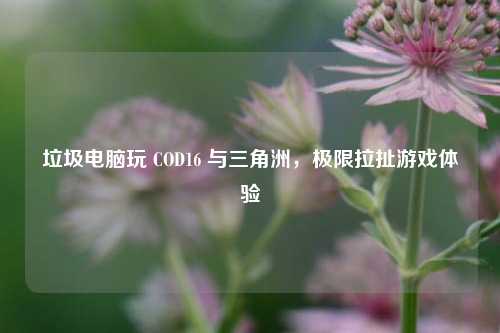 垃圾电脑玩 COD16 与三角洲，极限拉扯游戏体验