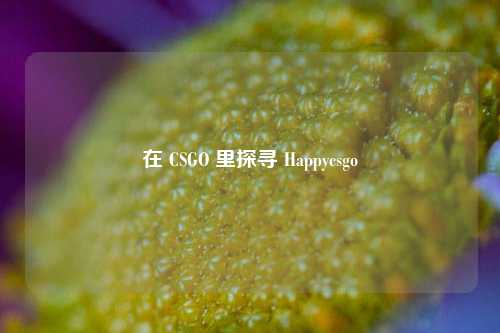 在 CSGO 里探寻 Happycsgo
