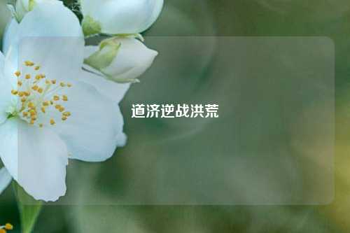 道济逆战洪荒