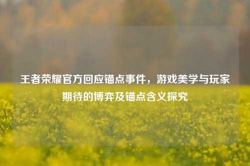 王者荣耀官方回应锚点事件，游戏美学与玩家期待的博弈及锚点含义探究