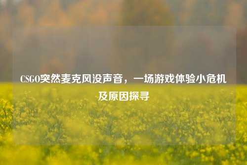 CSGO突然麦克风没声音，一场游戏体验小危机及原因探寻