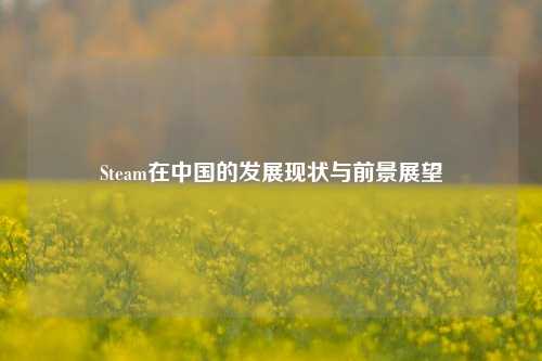 Steam在中国的发展现状与前景展望