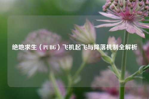 绝地求生（PUBG）飞机起飞与降落机制全解析