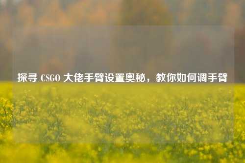 探寻 CSGO 大佬手臂设置奥秘，教你如何调手臂