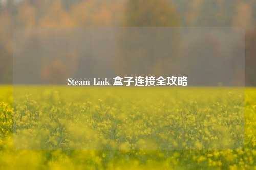 Steam Link 盒子连接全攻略
