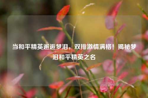 当和平精英邂逅梦泪，双排激情满格！揭秘梦泪和平精英之名
