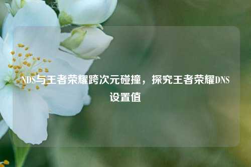 NDS与王者荣耀跨次元碰撞，探究王者荣耀DNS设置值