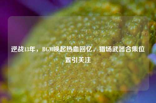 逆战13年，BGM唤起热血回忆，猎场武器合集位置引关注