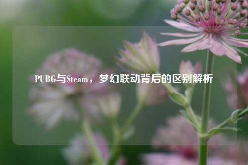 PUBG与Steam，梦幻联动背后的区别解析