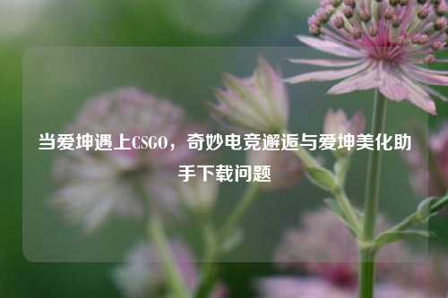 当爱坤遇上CSGO，奇妙电竞邂逅与爱坤美化助手下载问题