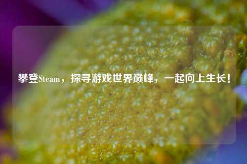 攀登Steam，探寻游戏世界巅峰，一起向上生长！