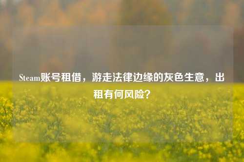 Steam账号租借，游走法律边缘的灰色生意，出租有何风险？